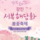 강진 서부해당화 봄꽃 축제 : 2024.04.06(토)~04.14(일) 9일간 이미지