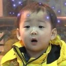 쭈삼이네 이미지