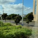 굿나잇 판포 이미지