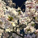 아름찬코리아 이미지