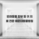 힐 동물병원 | 반려동물 피부 및 귀 치료 전문 해운대동물병원