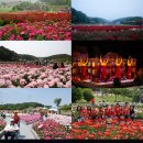 아트인시네마 이미지