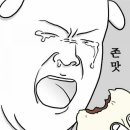 평화촌 이미지