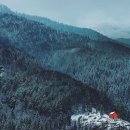 숲속의 작은집 이미지