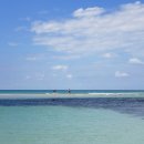 속삭이는 바다 이미지