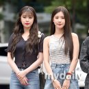 수진니트