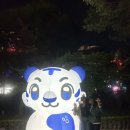 태백영프라자 이미지