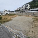 백년대로 이미지