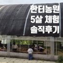 삼육영농조합법인 2농장 | 5살 아이 체험 천국, 용인 한터농원 솔직후기