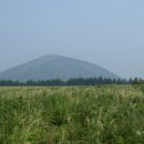 애월다래네 이미지