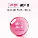 쏠로화이트 | 뉴트리원 비비랩 화이트 콜라겐 후기｜화잘먹 피부를 위한 저분자 피쉬 콜라겐