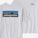 화이트빌리 이미지