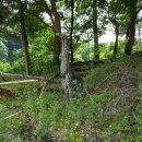 갑천초 금성분교장 이미지