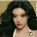 크롭체크코리아 이미지