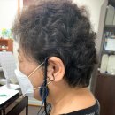 서울탑보청기 | 평촌, 평촌역보청기 부모님의 소중한 소리선물