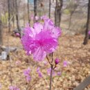 화랑공원 이미지