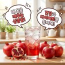 홍초카페 | 홍초효능, 왜 이렇게 인기일까? 다이어트부터 피부 관리까지 솔직 후기