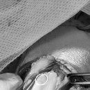 해운대조은동물병원 이미지