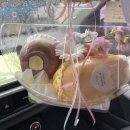 꼬꼬아찌 기장점 | 덧칠하고 덧칠하는 2월의 일상log