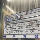 운정튼튼동물병원 | 운정산내동물병원 강아지 스케일링 내돈내산 후기