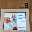 요미팡팡