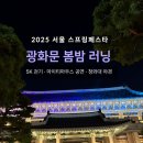 2025 광화문 펀런 후기 🌸 서울 도심 러닝과 청와대 야경까지 즐긴 하루