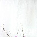 라로즈스쿨 이미지