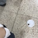 임성로 | 10月(1)