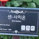 곡성-173 이미지