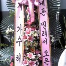 상무PC방 Daum카페