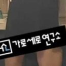 T 팬티일지 일반 팬티일지 진짜 궁금하긴 하네요 이미지