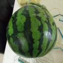 세일마트 이미지