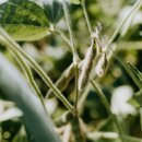 좋은삶만들기 이미지