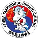 한국체대 INFINITI태권도 이미지