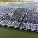 태양크린 이미지