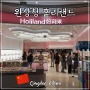 한국유통 전문점 | 중국 칭다오 청도 완샹청 믹스몰 홀리랜드 여행 기념품 수건케이크 후기