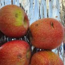 가나안농원 이미지