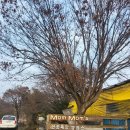 신광2목장 이미지