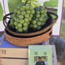 송산포도로 이미지