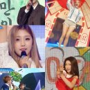 풍성종합장식 스타뉴스