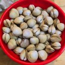 청포대아재펜션 | 서해 태안 청포대 해수욕장 수영장 펜션 추천 해수욕장 앞 청포대 아재펜션