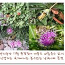 반디농장 이미지