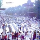 마로니에 이미지