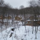 민주지산자연휴양림 이미지