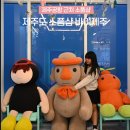 제주 소품샵 제주도 감성 소품샵 제주공항 근처 소품샵 추천