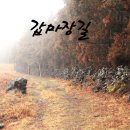 갑마장 잣성길- 가시리