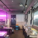 강남-120 이미지