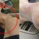 퍼스트샵 이미지