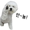 온니유플라워