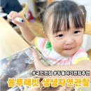 블루래빗 전집 생생자연관찰 3개월 사용 후기